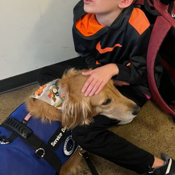 Service Dog Training