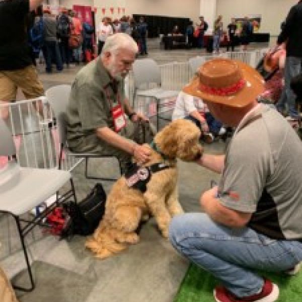 Therapy Dog