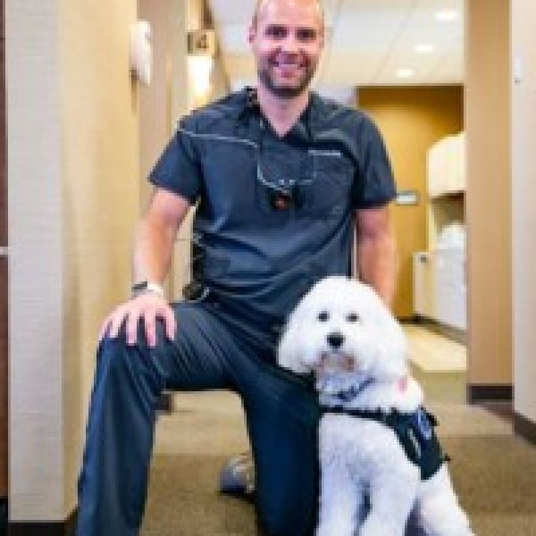 Therapy Dog