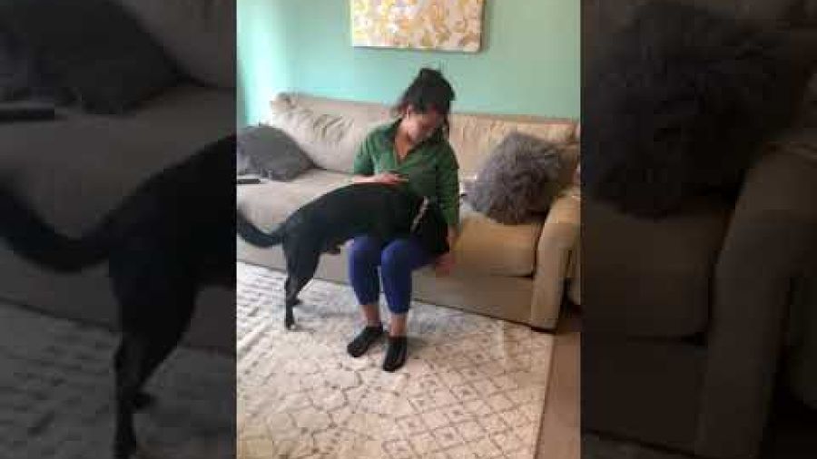 Pressure Command: This command is used to ground a person in a stressful situation such as a doctors visit