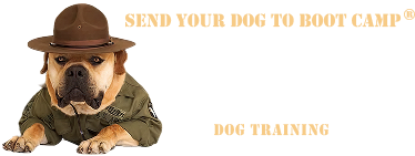 K-9 Companions Nashville