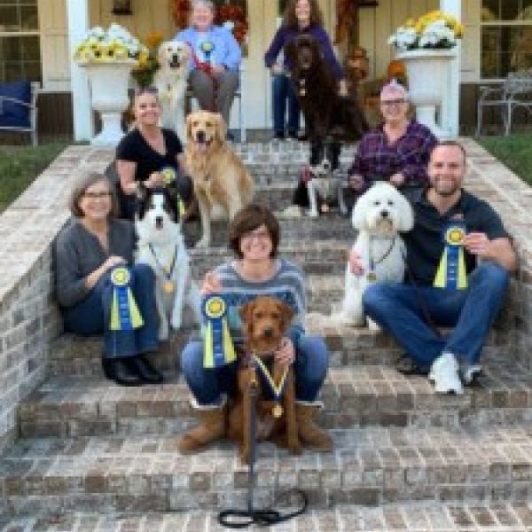 Therapy Dog