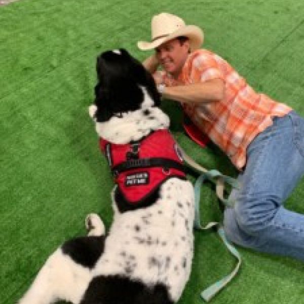 Therapy Dog