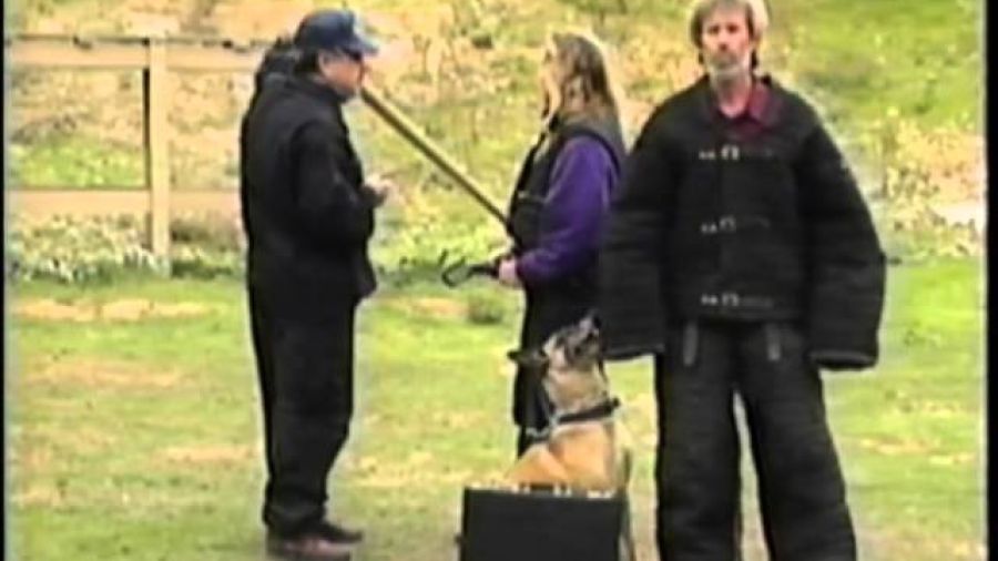 Item Protection Video