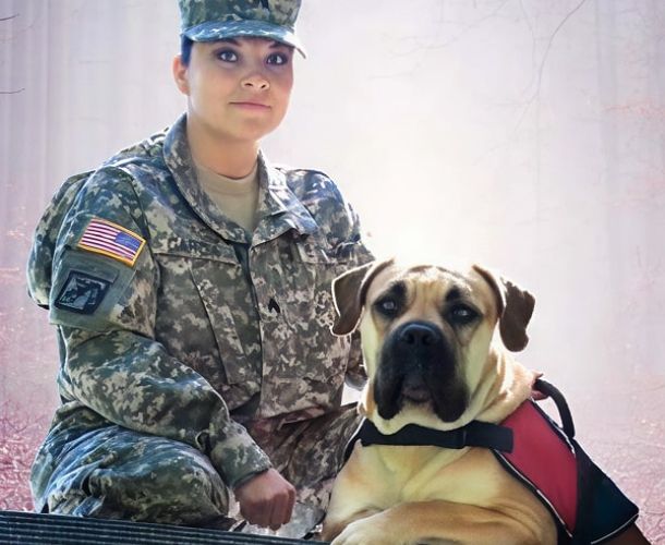 veterans