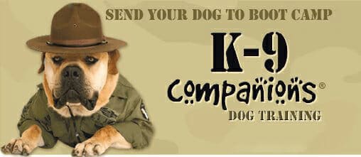 k 9 Bootcamp TM Original Dog Training Course