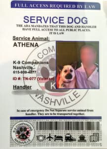 Service Dog IDs: Logo and contact info provided as proof of authenticity.