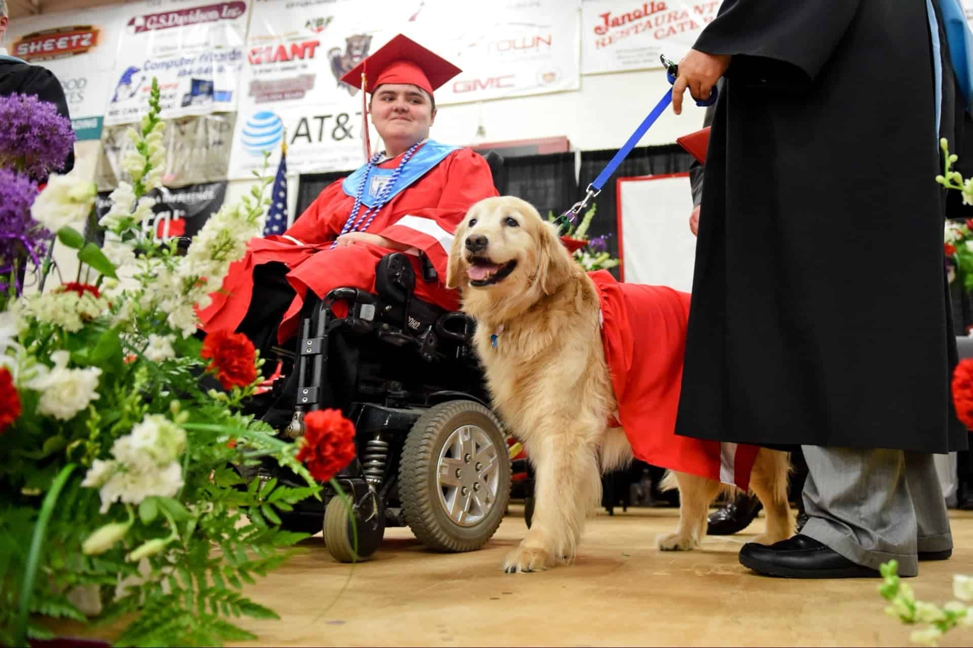 service dog graduating and certifications