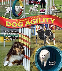 The Beginners Guide to Dog Agility