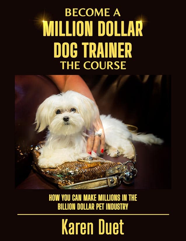 Become A Million Dollar Dog Trainer