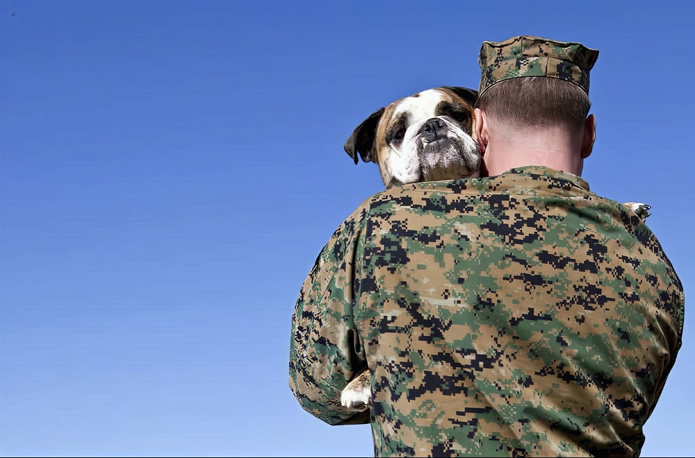 How did the name Dog Boot Camp™ originate?
