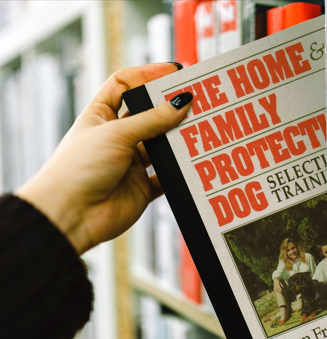 Dog Trainers Courses and Books