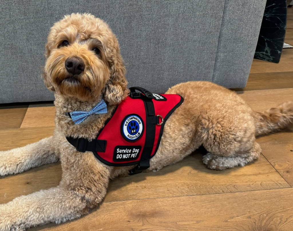 service dog working