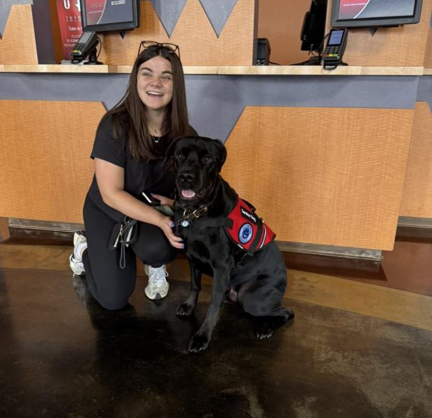 Become a dog trainer