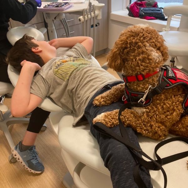 Service Dog Training