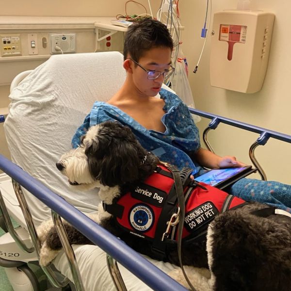 Service Dog Training