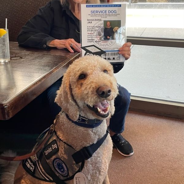 Service Dog Training