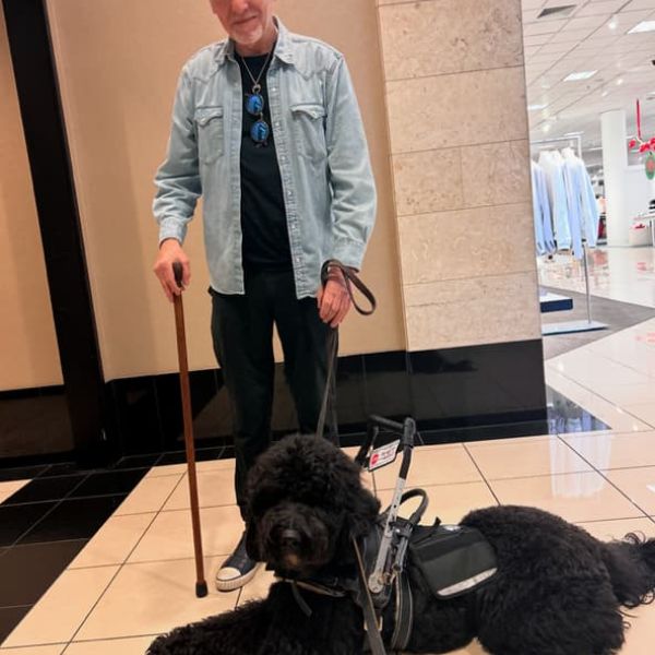 Service Dog Training