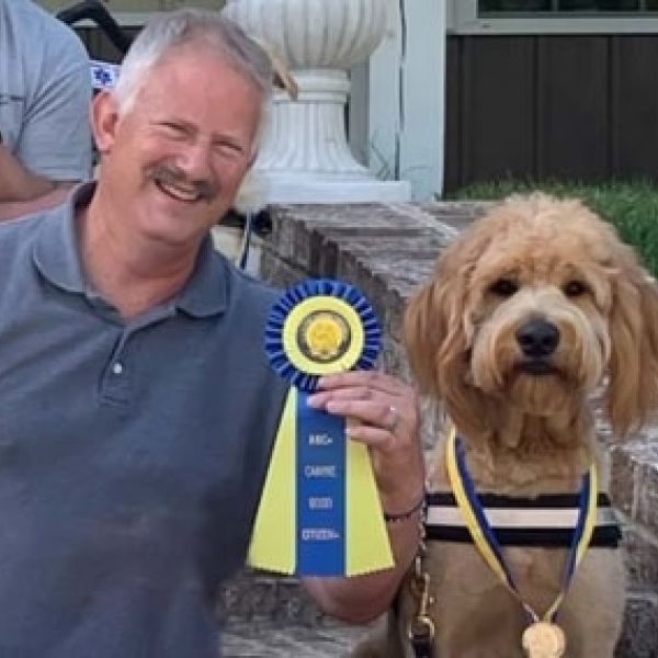 AKC/CGC: Rosettes & Medals