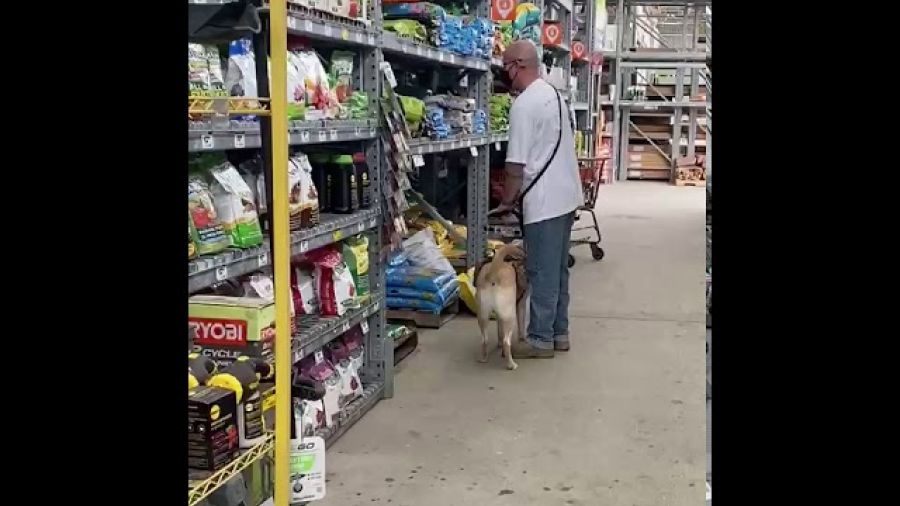 Brace Command: This command helps someone who is unsteady on their feet