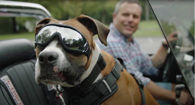 million dollar trainer