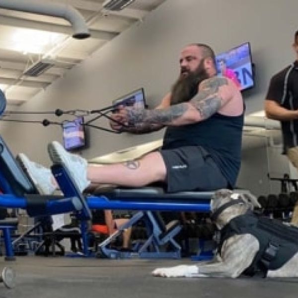 Service Dogs Need to Go Everywhere the Handler Goes and Remains Well Behaved