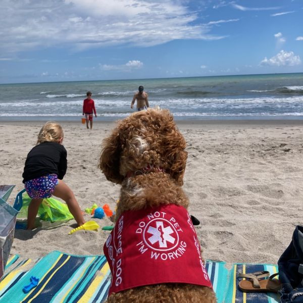 Service Dog Training