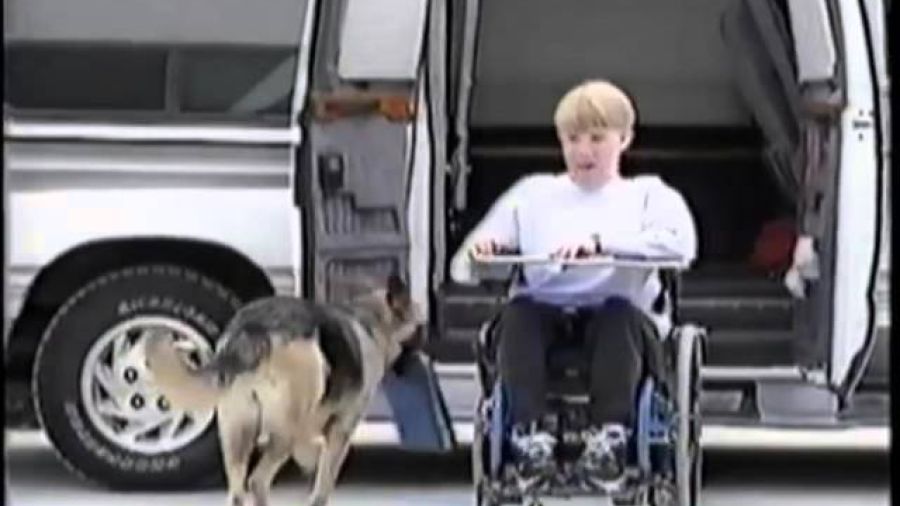 Service Dogs for the Disabled Video