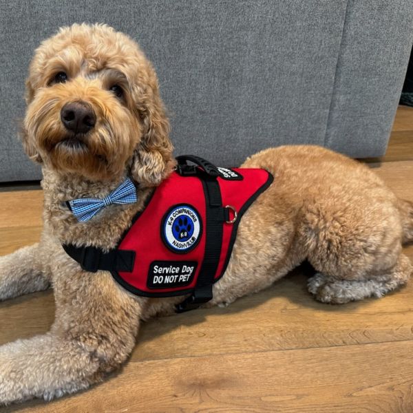 Service Dog Training