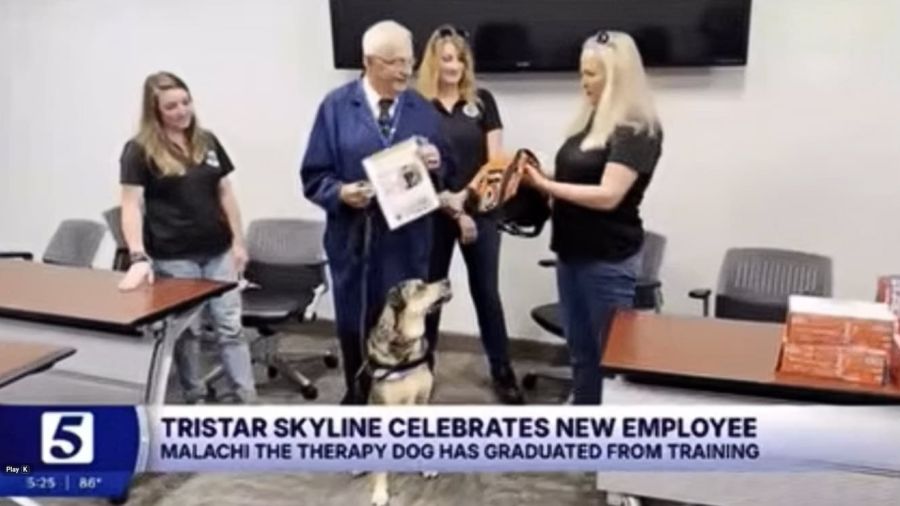 From Puppy to Hero: Therapy Dog Malachi Graduates! | Featured on Channel 5 News