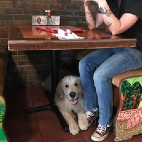 Public Access Training: Restaurant